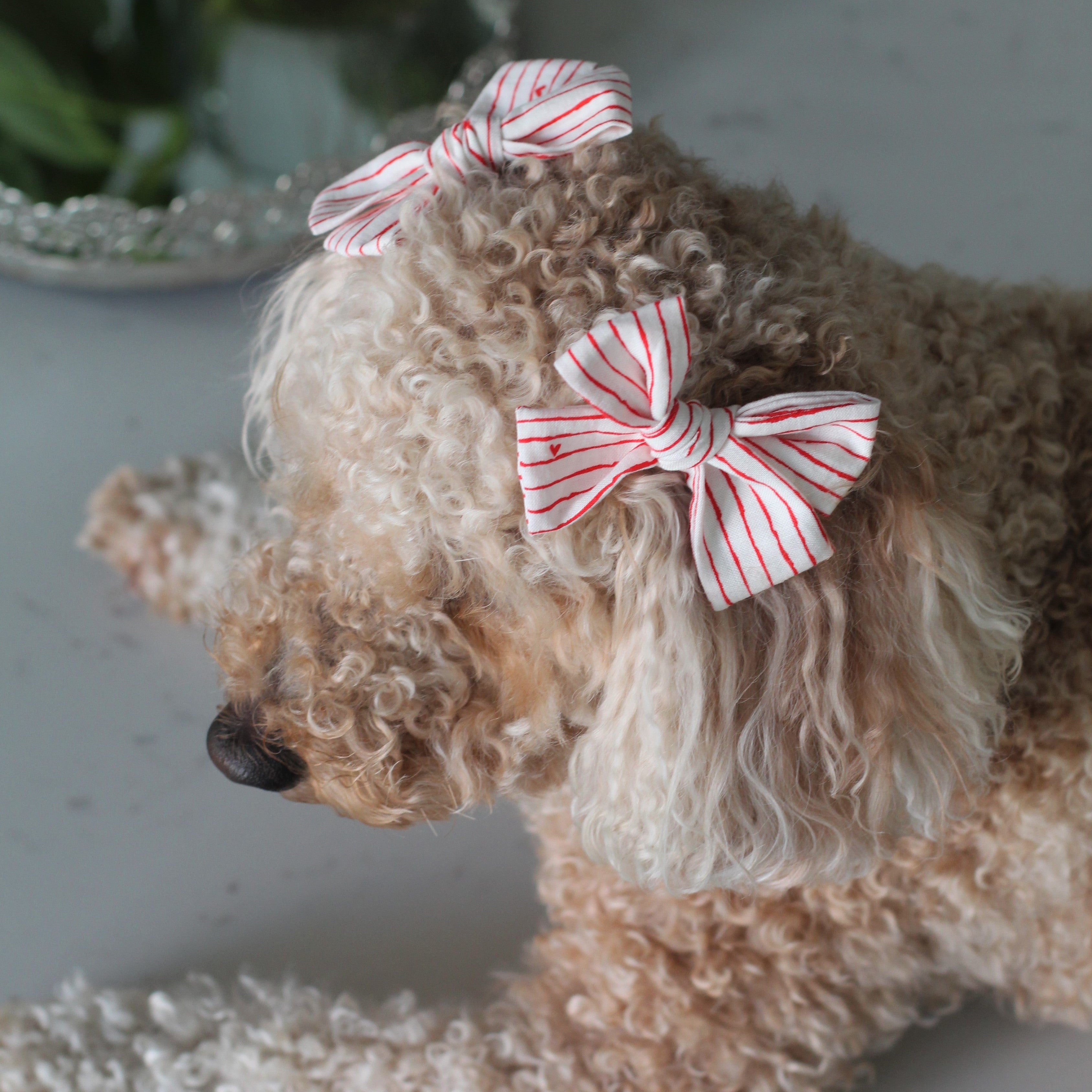 The Love Notes Hair Bow 100 Cotton Custom Dog Hair Bows Maple Paws