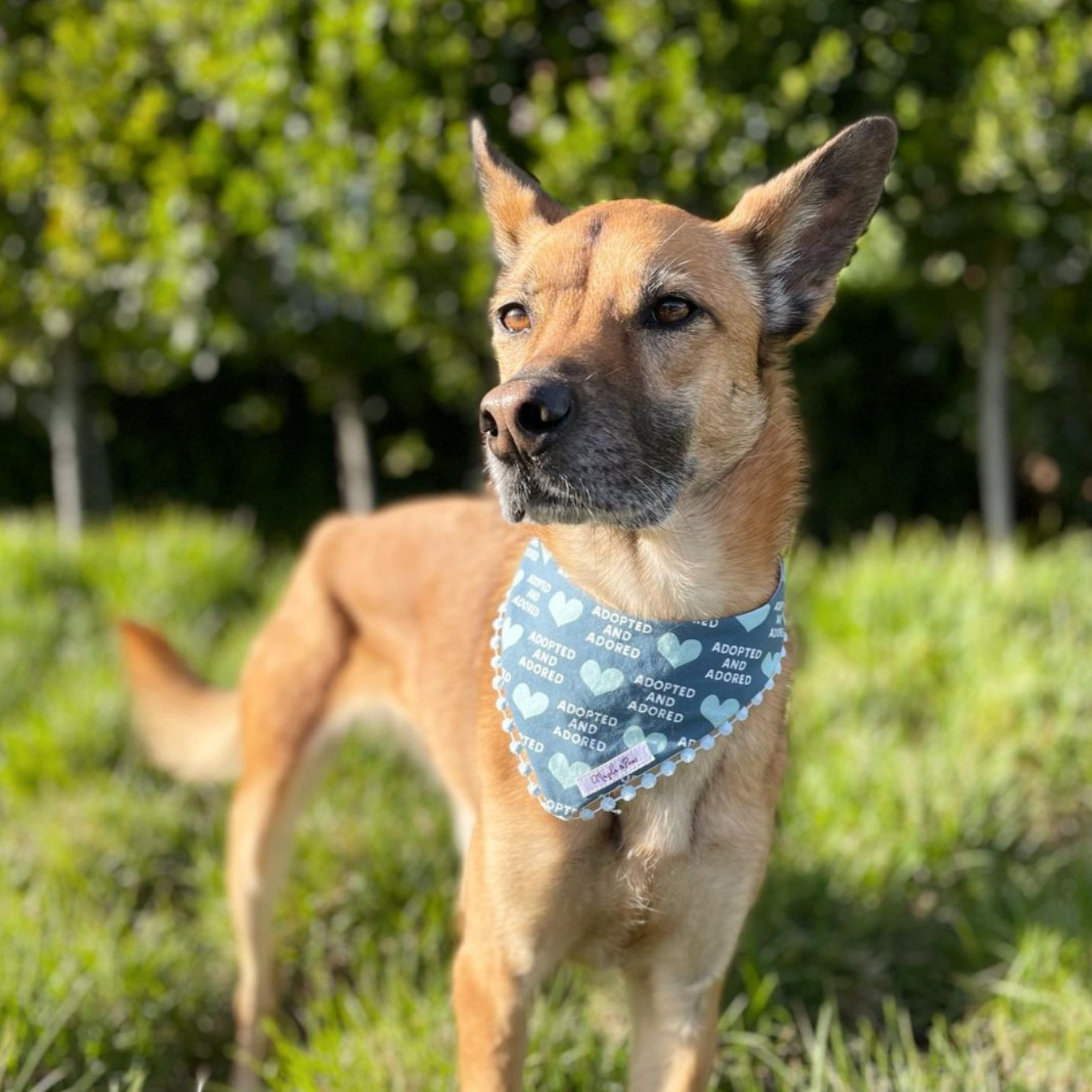 The Adopted Adored Bandana 100 Cotton Handmade Bandana Maple Paws